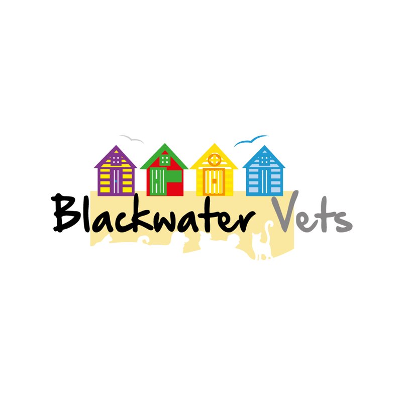 Blackwater Vets