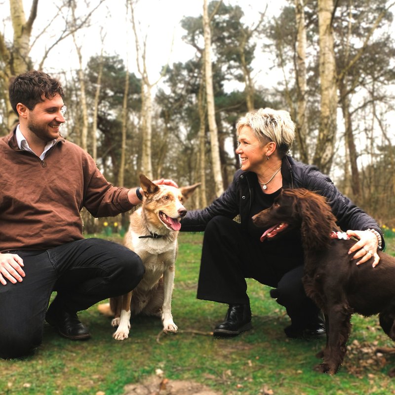 The Colchester Vets